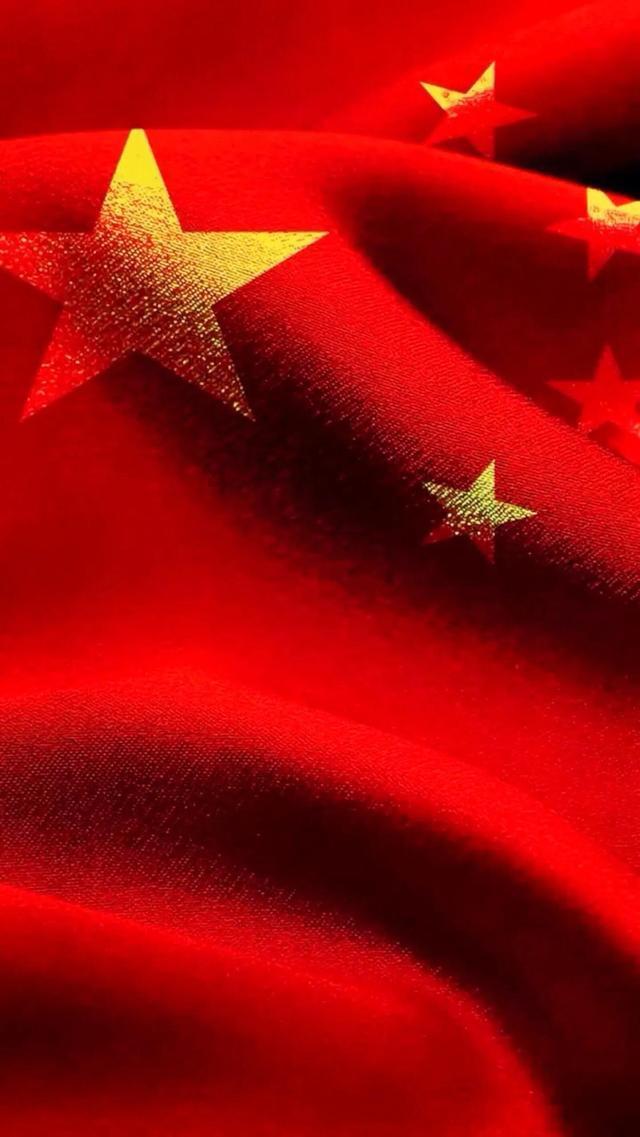 动物狂欢夜